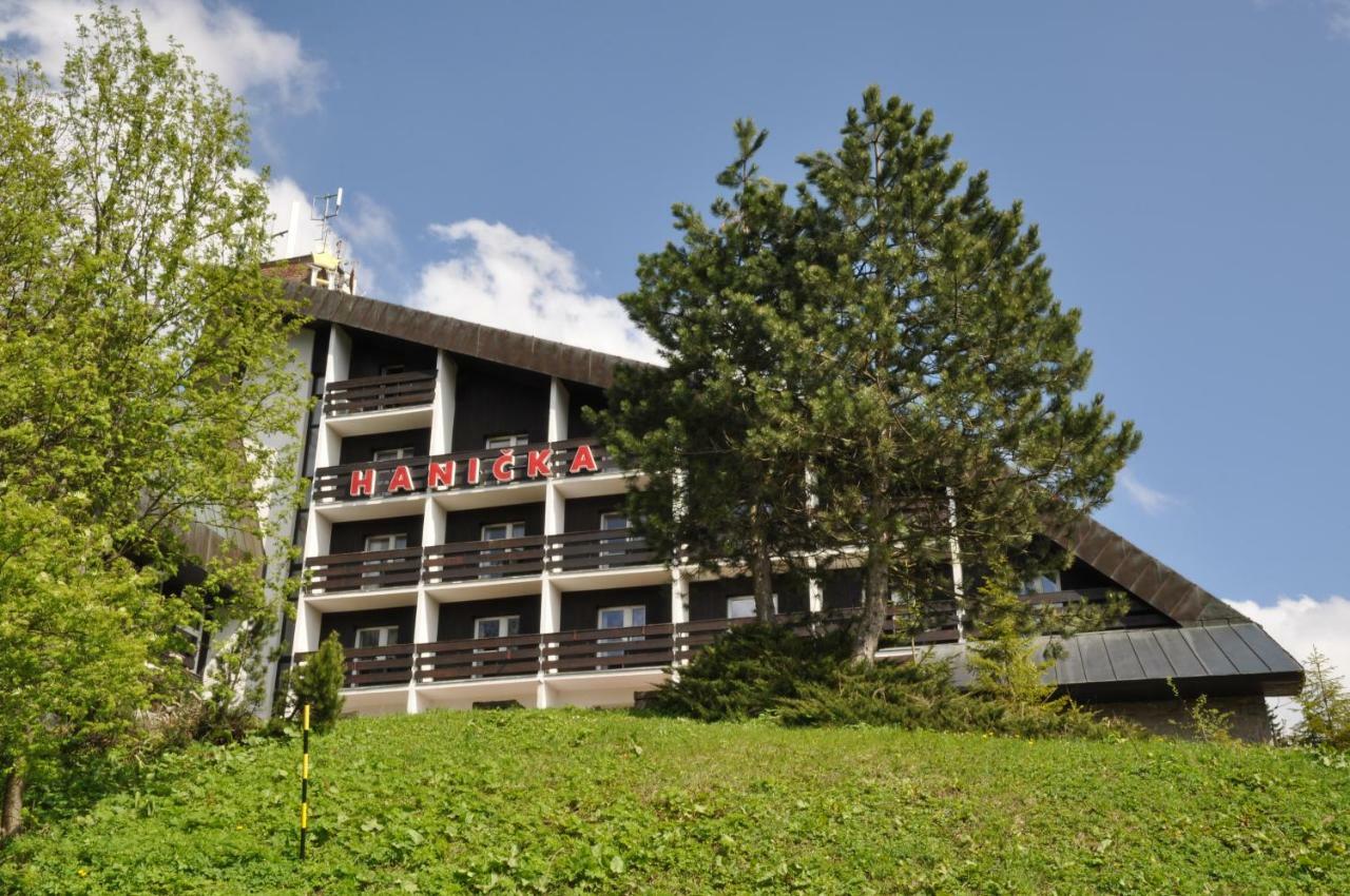 Horsky Hotel Hanicka スピンドレルフ・ムリン エクステリア 写真